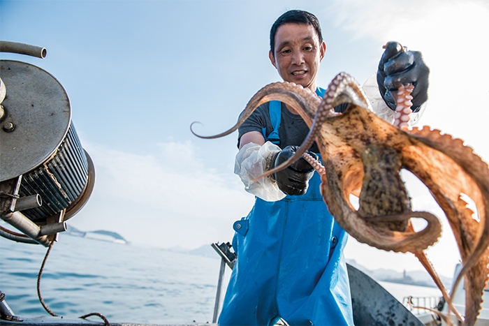 日本一”を自負する究極のタコに賭けた夢 | ソワニエ最新号 | ソワニエ＋