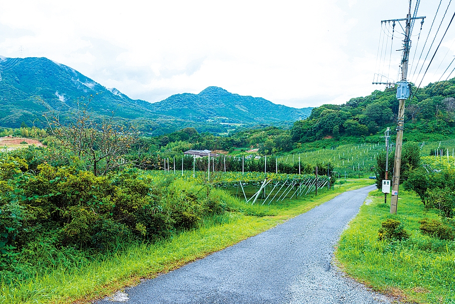 松木果樹園