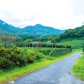 松木果樹園