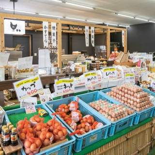 野上養鶏場