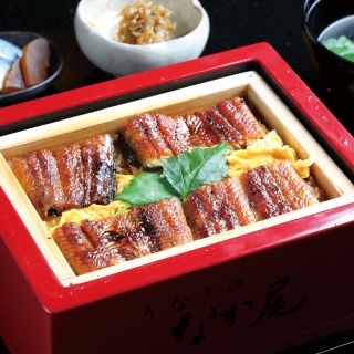 うなぎのなか尾